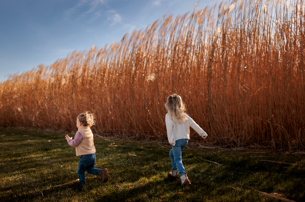3,000 Feet of Privacy Screen (5,000 rhizome count)